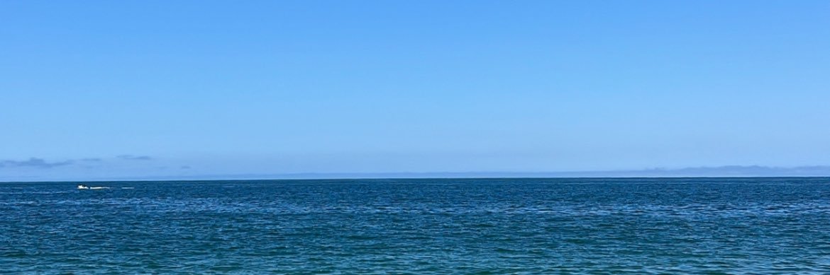 23 banner