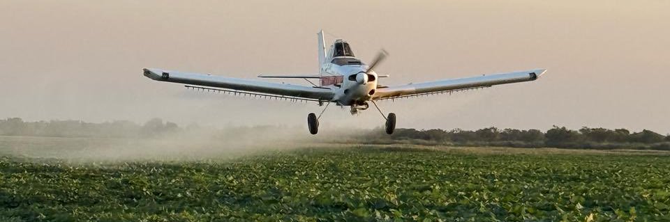 Heraldo Vaccarini banner