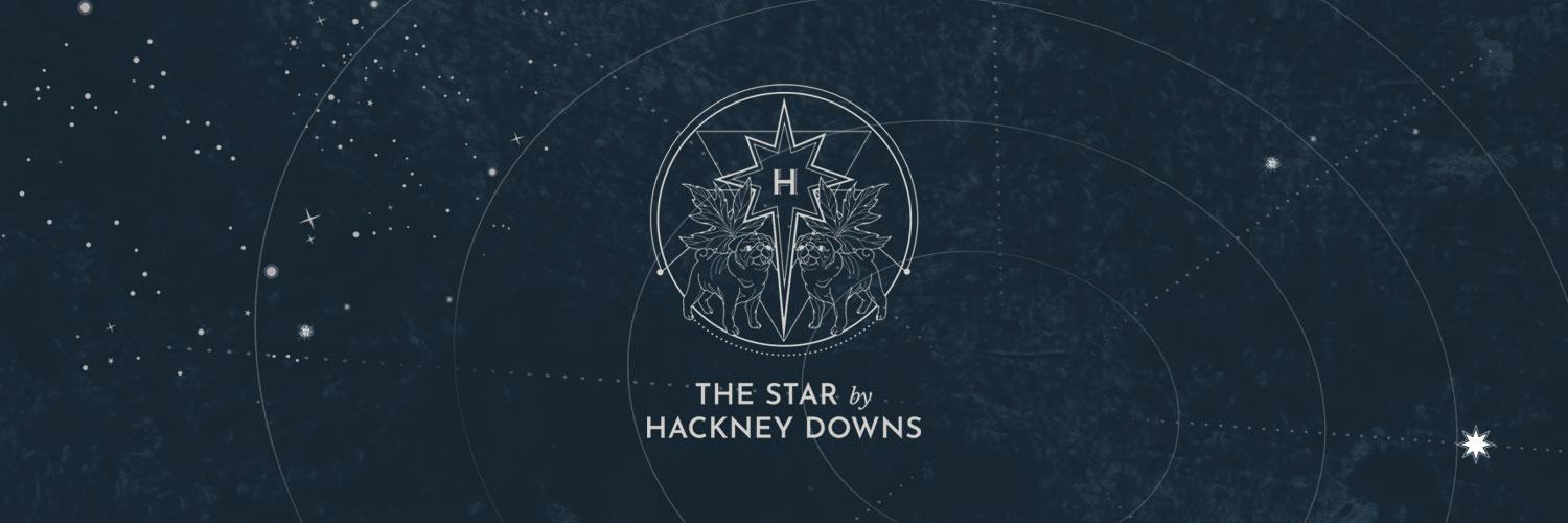 Star By Hackney Downs banner