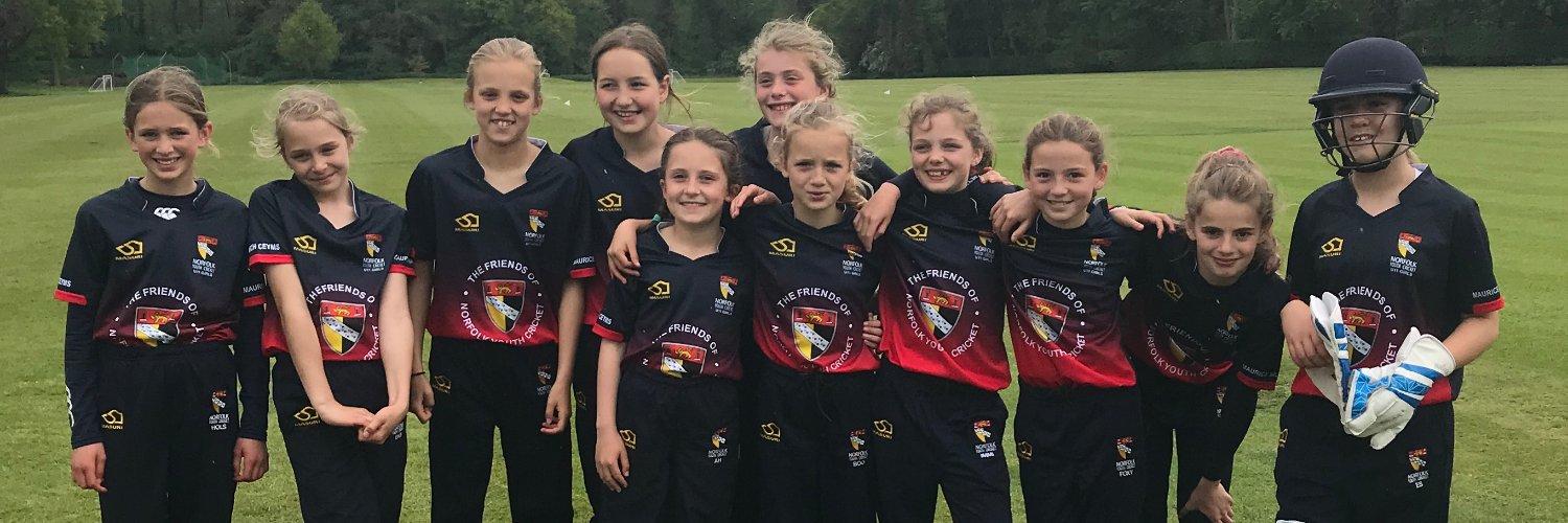 Friends of Norfolk Youth Cricket banner