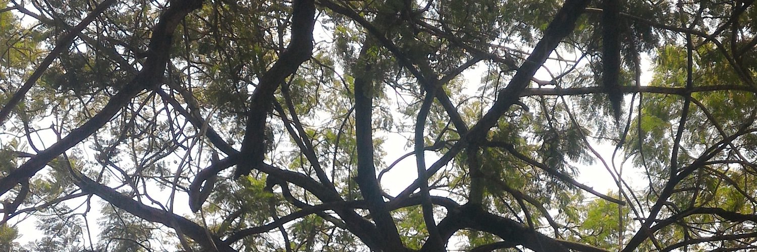 Edgar Jack Taylor banner