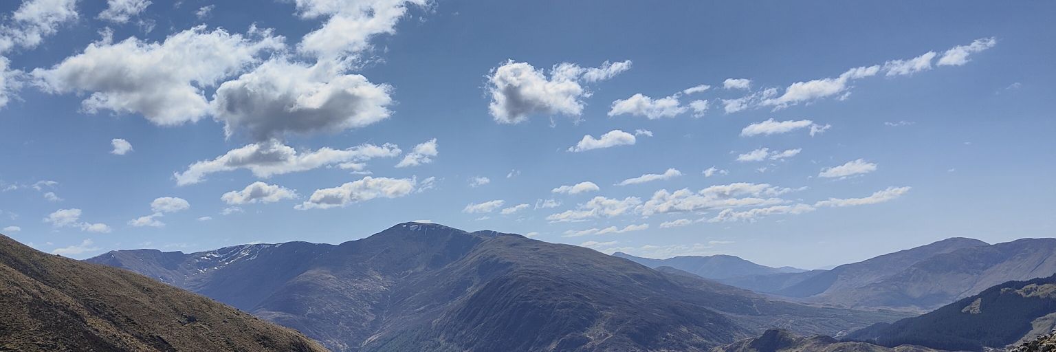 Alex🌻she/her banner