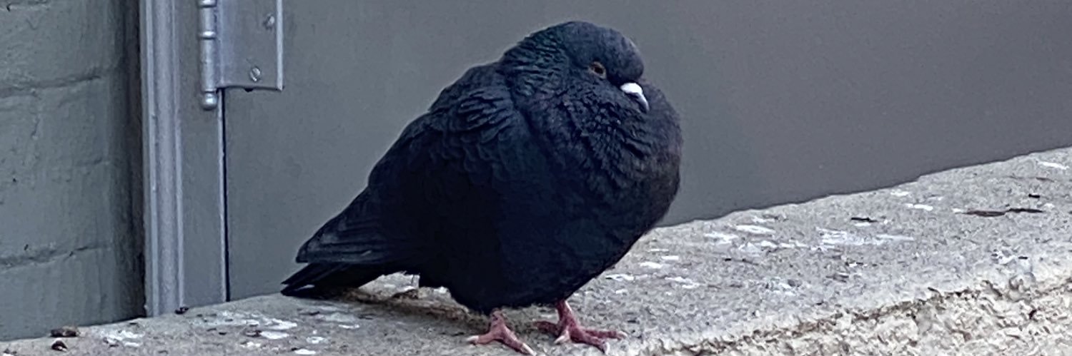 Kathleen Dames banner