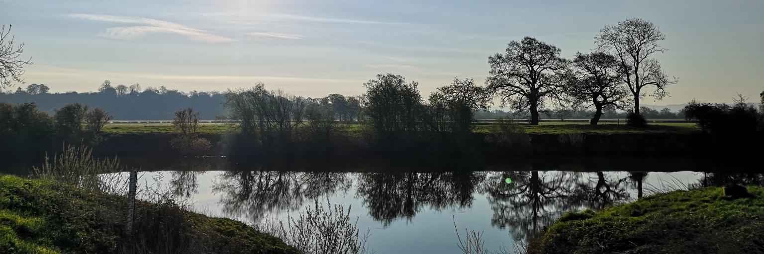 Barry Killner banner