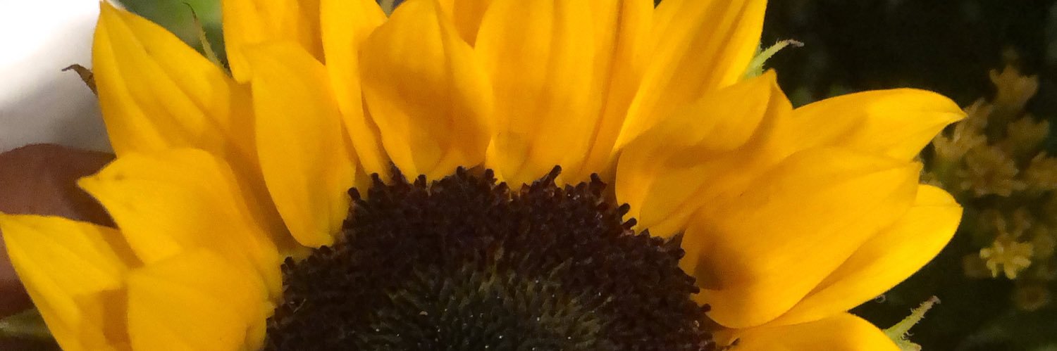 KDG________'s profile banner image