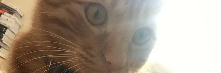 lanadelreyyan's profile banner image