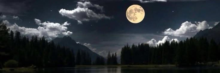 Patty 🙏🏼🌏🕊 banner