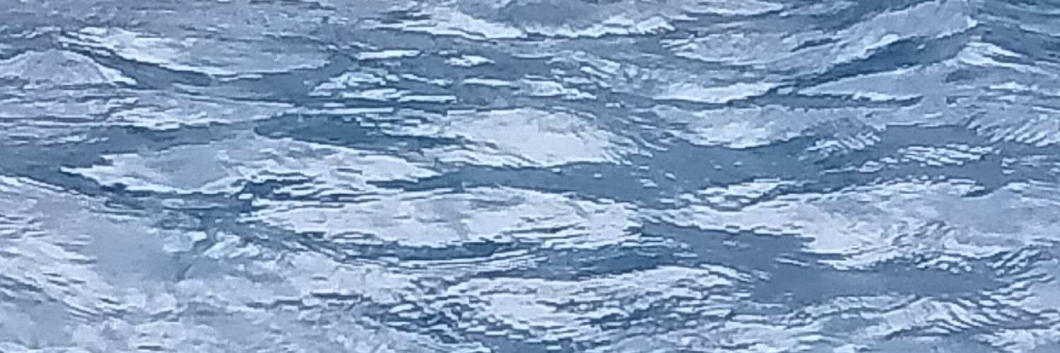 xelzen's profile banner image