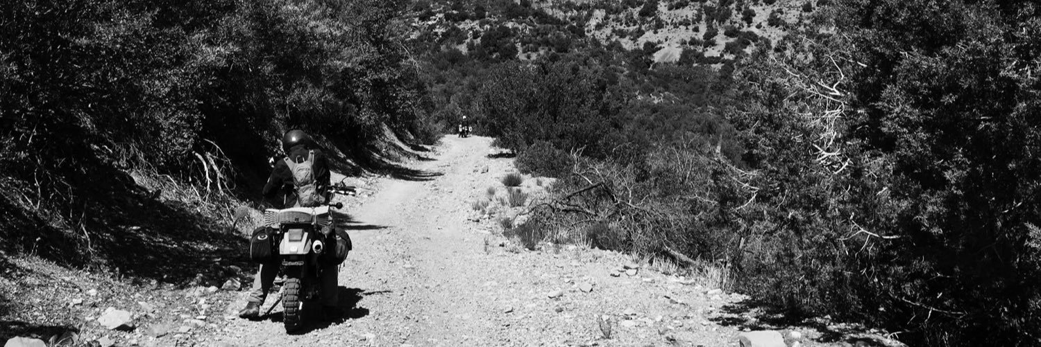eva_rupert's profile banner image