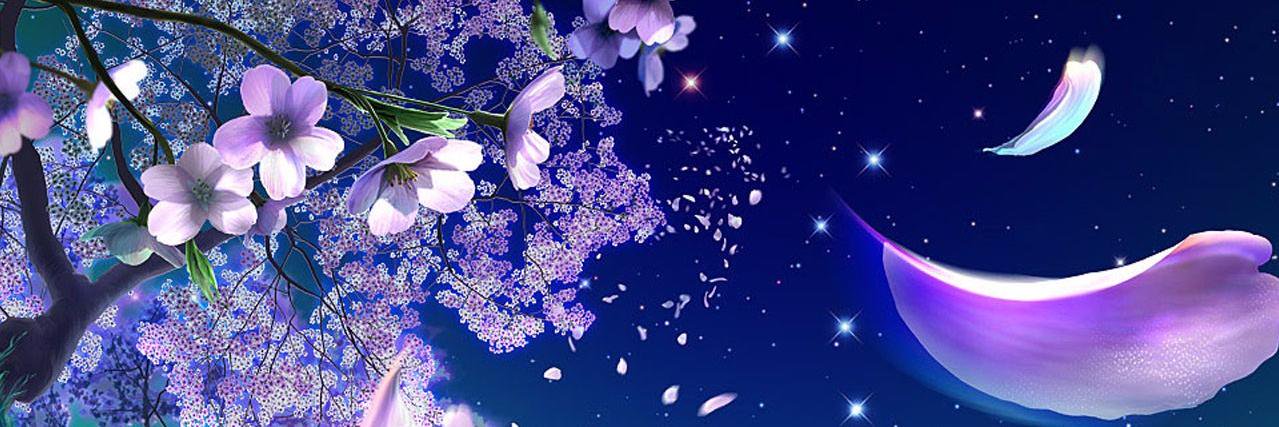 dianis_o's profile banner image