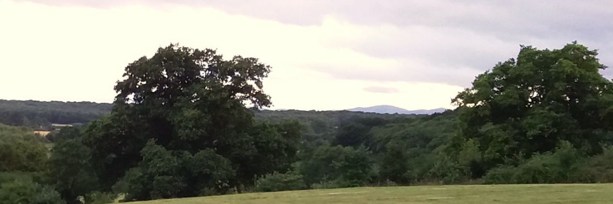 GaryFord01's profile banner image