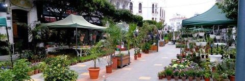saidaalger's profile banner image