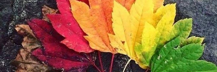 J0Maria's profile banner image