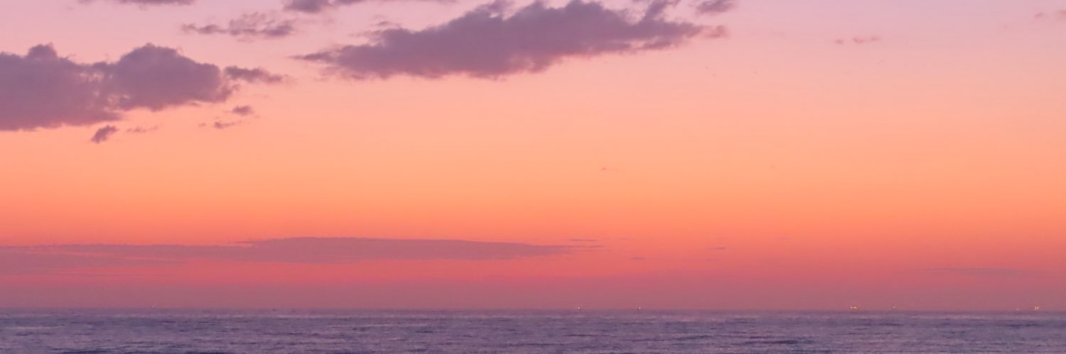 steve banner