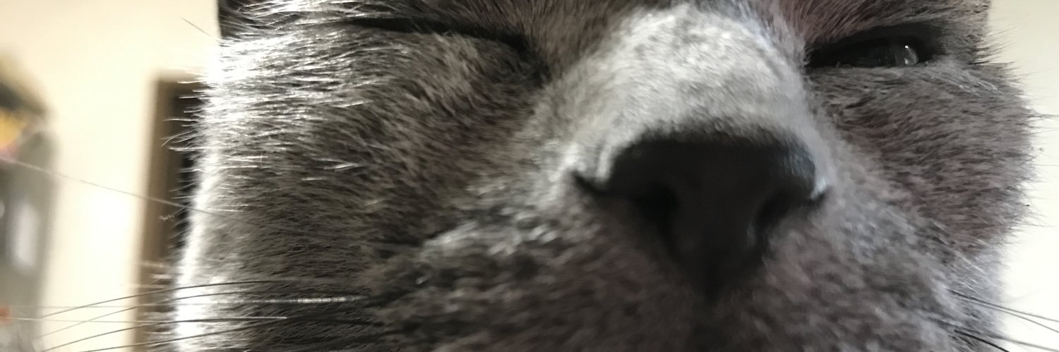 moca7crazy's profile banner image