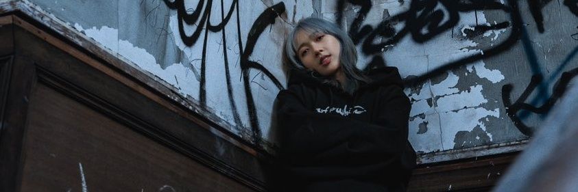 Lexis 🐶 banner