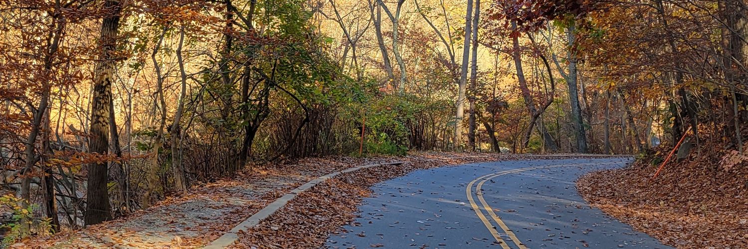 جعفر خان banner