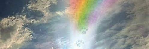 🌈Zen🌈, Isaac, &Hoomin💜 banner