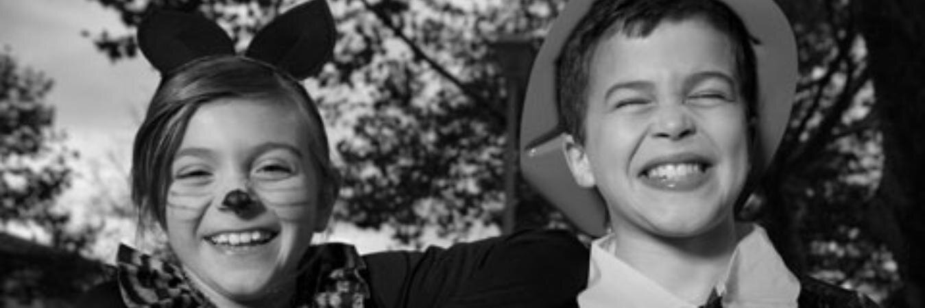 LauraLRino's profile banner image