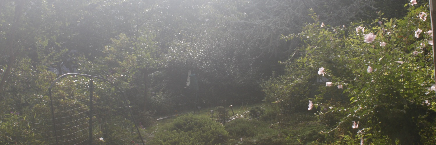 Spring Silver 🇵🇸🇨🇩 banner