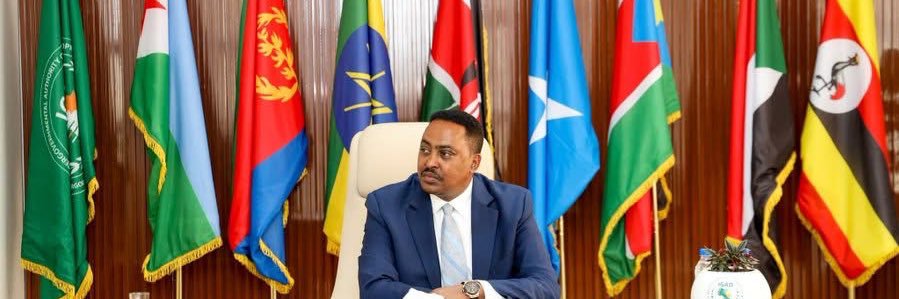 Dr Workneh Gebeyehu's banner