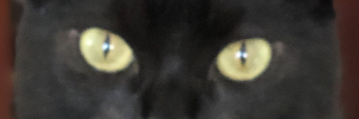 Lady_Coruja's profile banner image