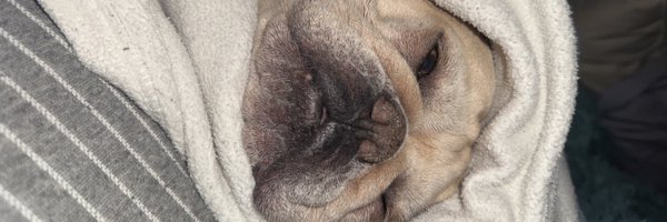 PitudoSr Profile Banner