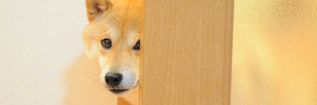 jackaljag's profile banner image