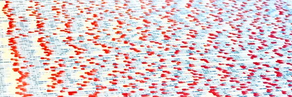 LauraSymul Profile Banner