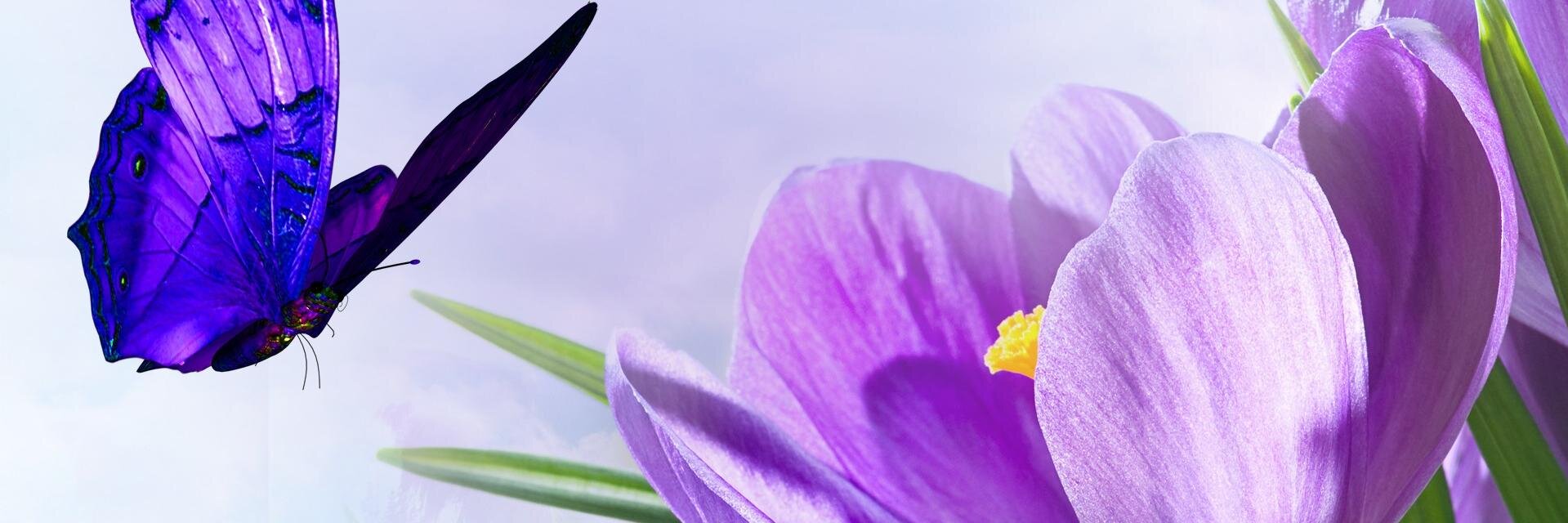 DailyCyns's profile banner image