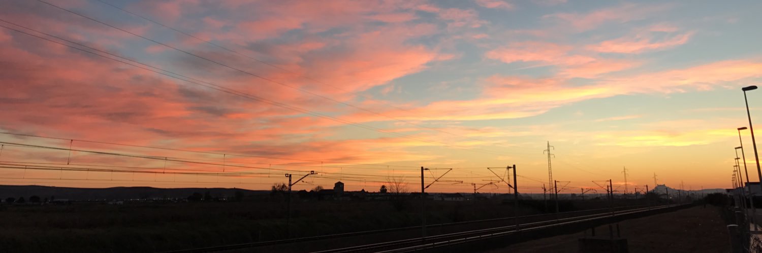 F. Leiva-Cepas MD, B. Sc, PhD. banner