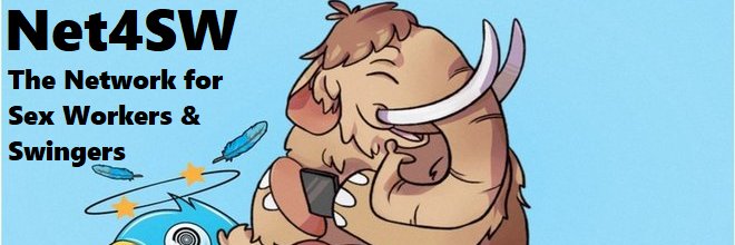 Net4SW's profile banner image