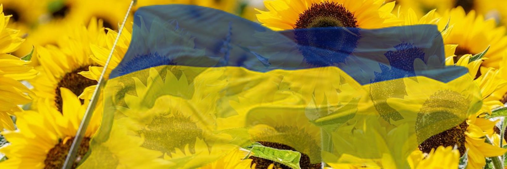 DaSh factor LLC banner