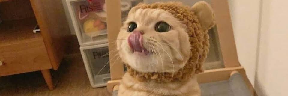 _llawrenzz's profile banner image