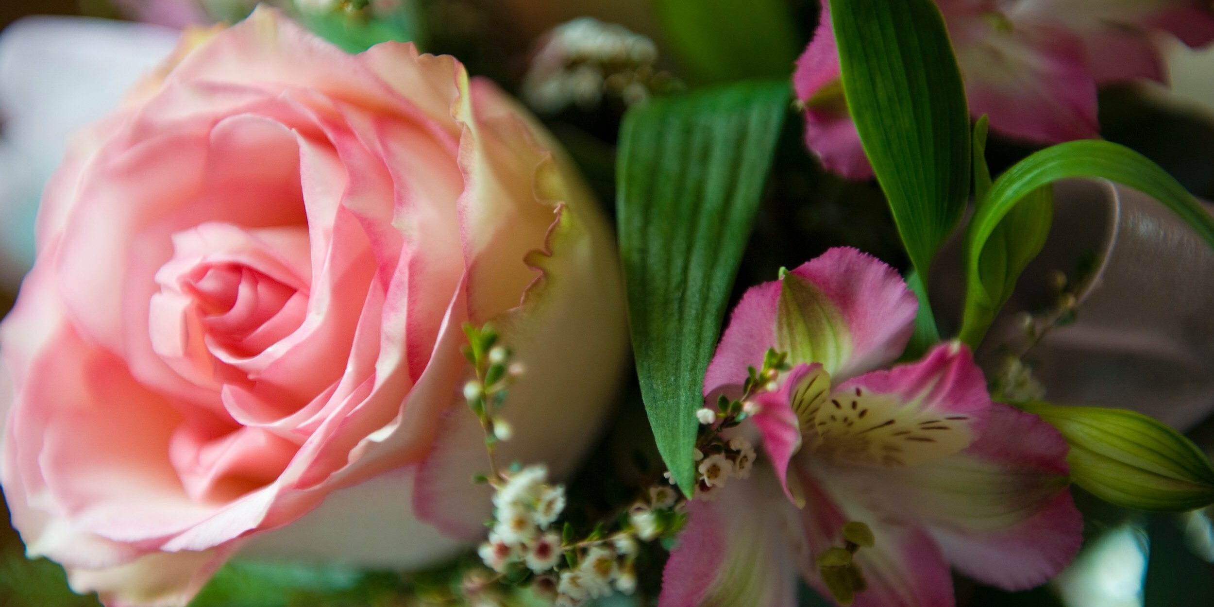 HeatherDPhotog's profile banner image