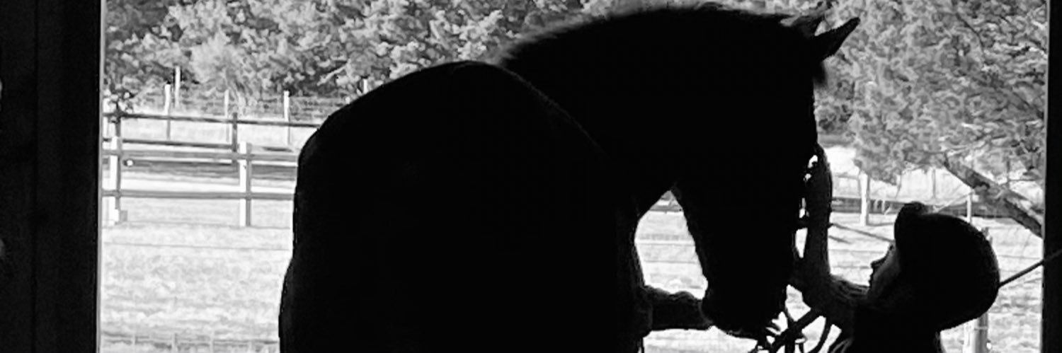 Court_Wilson5's profile banner image