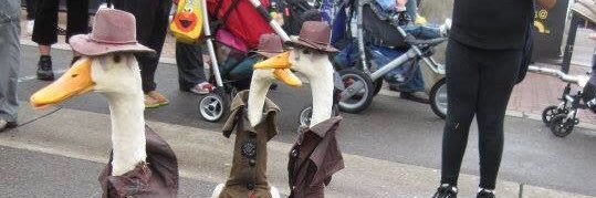 Corona master banner