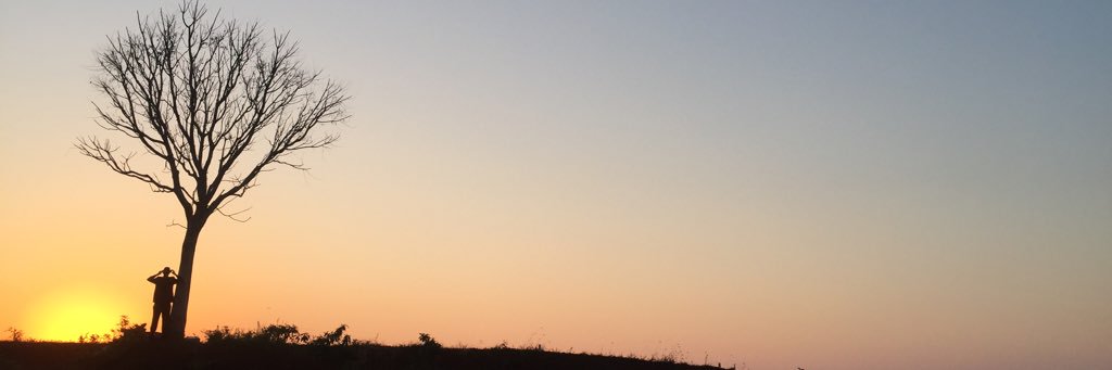 pipico_pierre's profile banner image