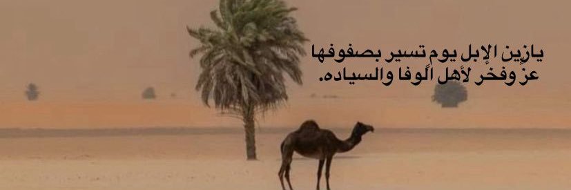 وضحي العتيبي banner