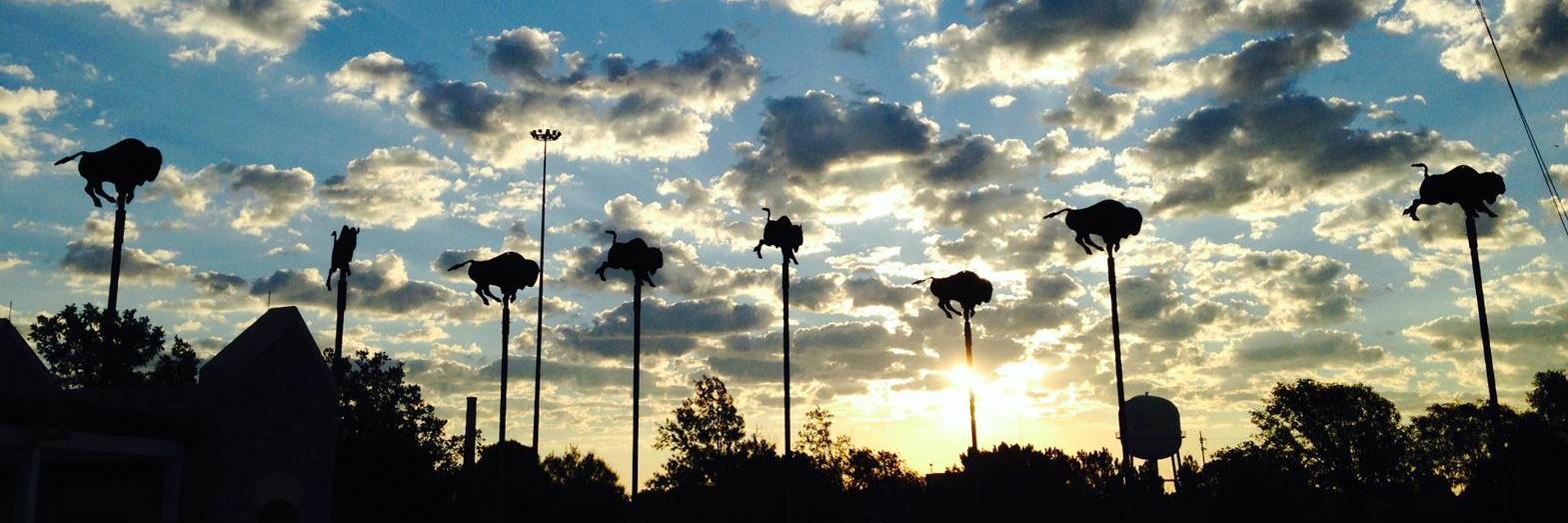 Frontier Texas! banner