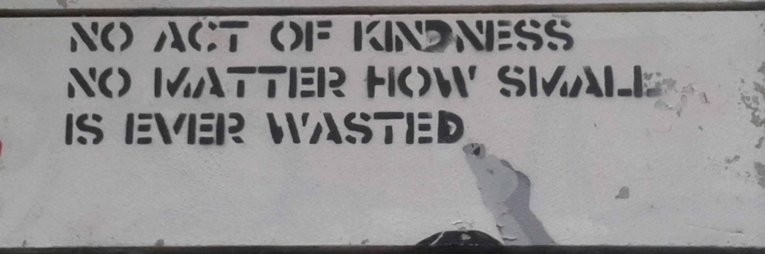 soft kitty seeker banner