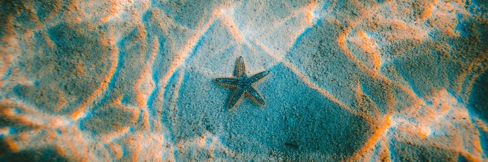 teles_veronica's profile banner image