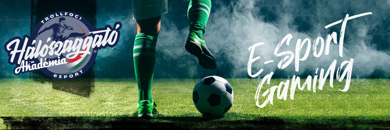 D11_Virtual_Gamings banner