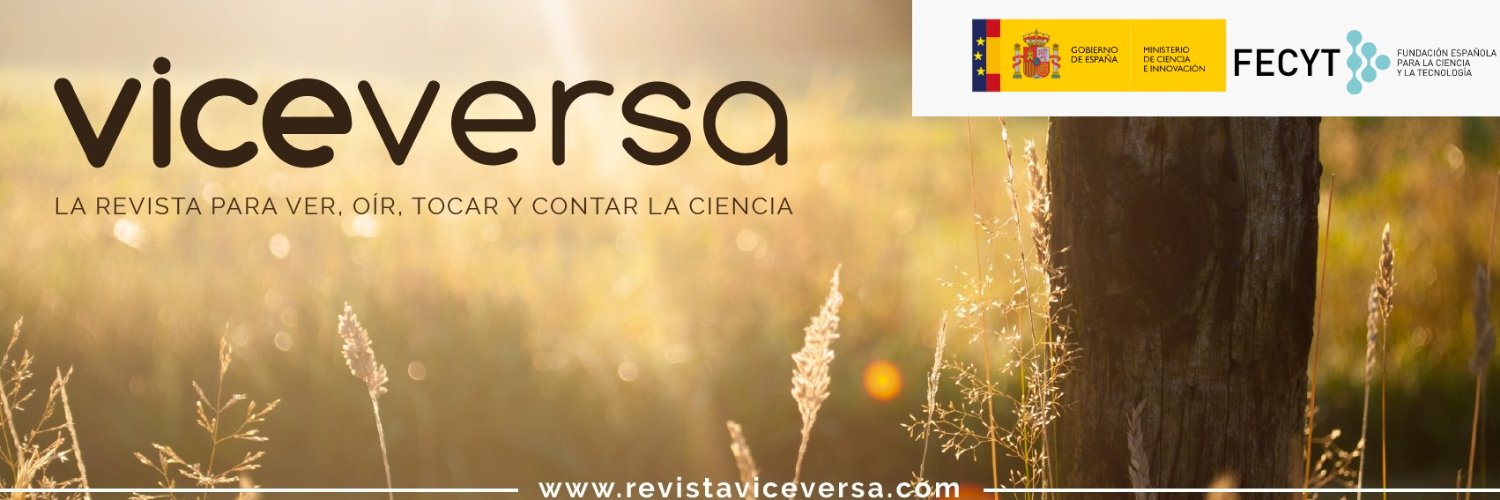 Revista Viceversa banner