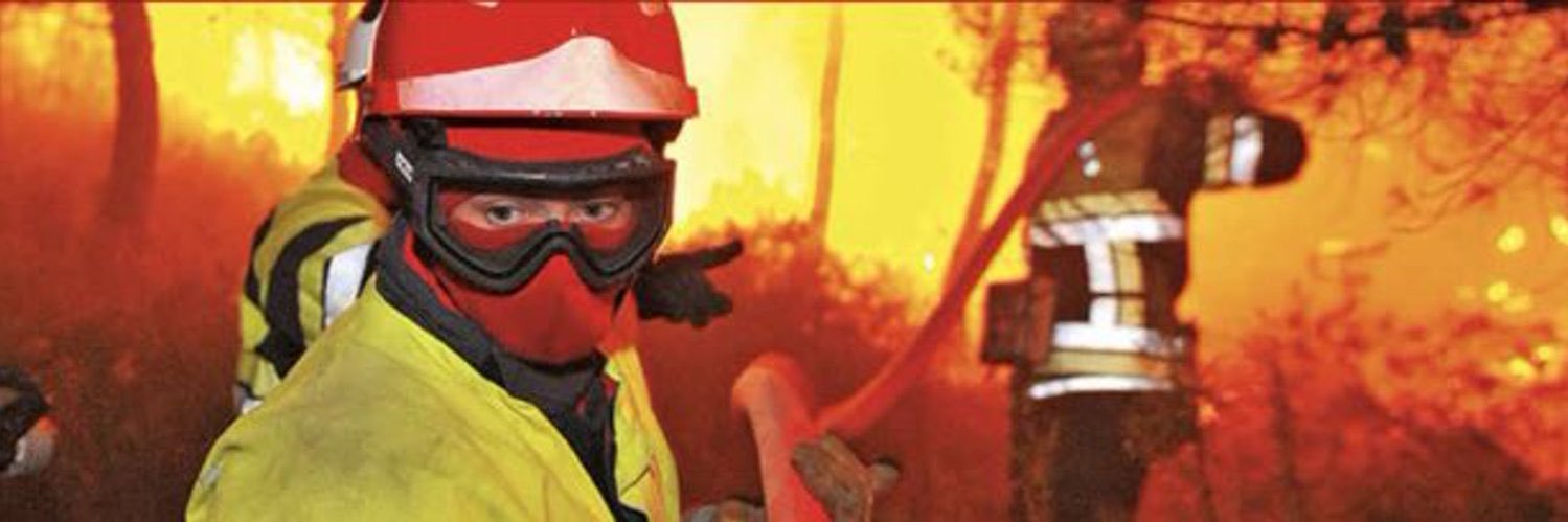 matmangedelherbe 🇫🇷🇮🇱🥦👨‍🚒⚗️ banner