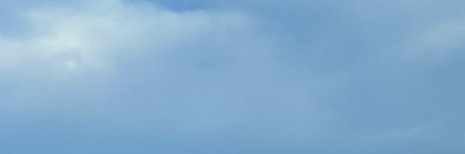 DelBorn banner