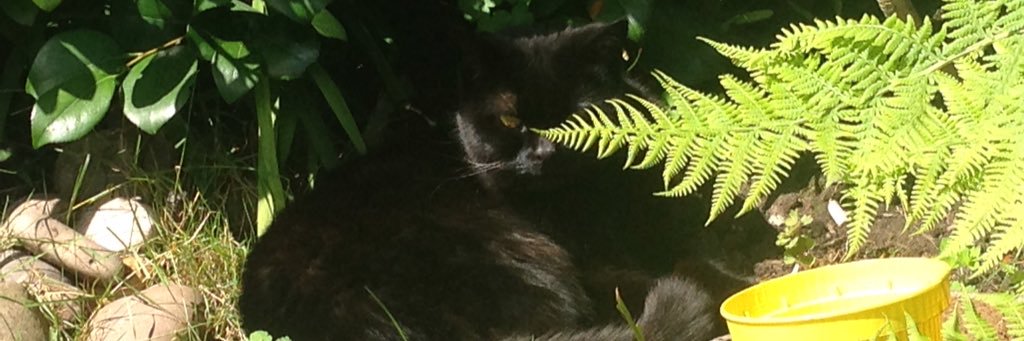 gparrdale2's profile banner image