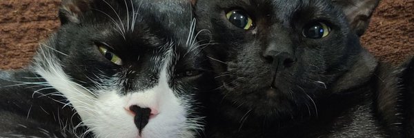 ErayCr Profile Banner