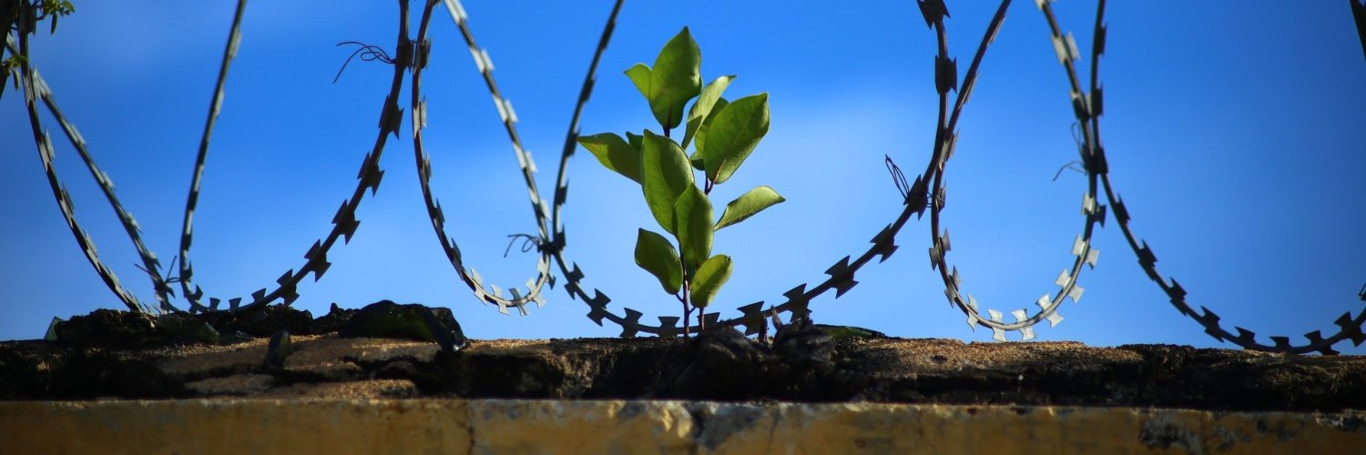 Prison healthcare #Qual-P #Impact-C19P banner