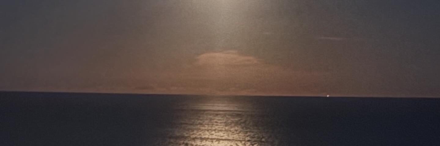 Erin Carson Dewey banner